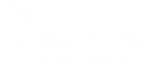missao-sos-vidas-doar-digital